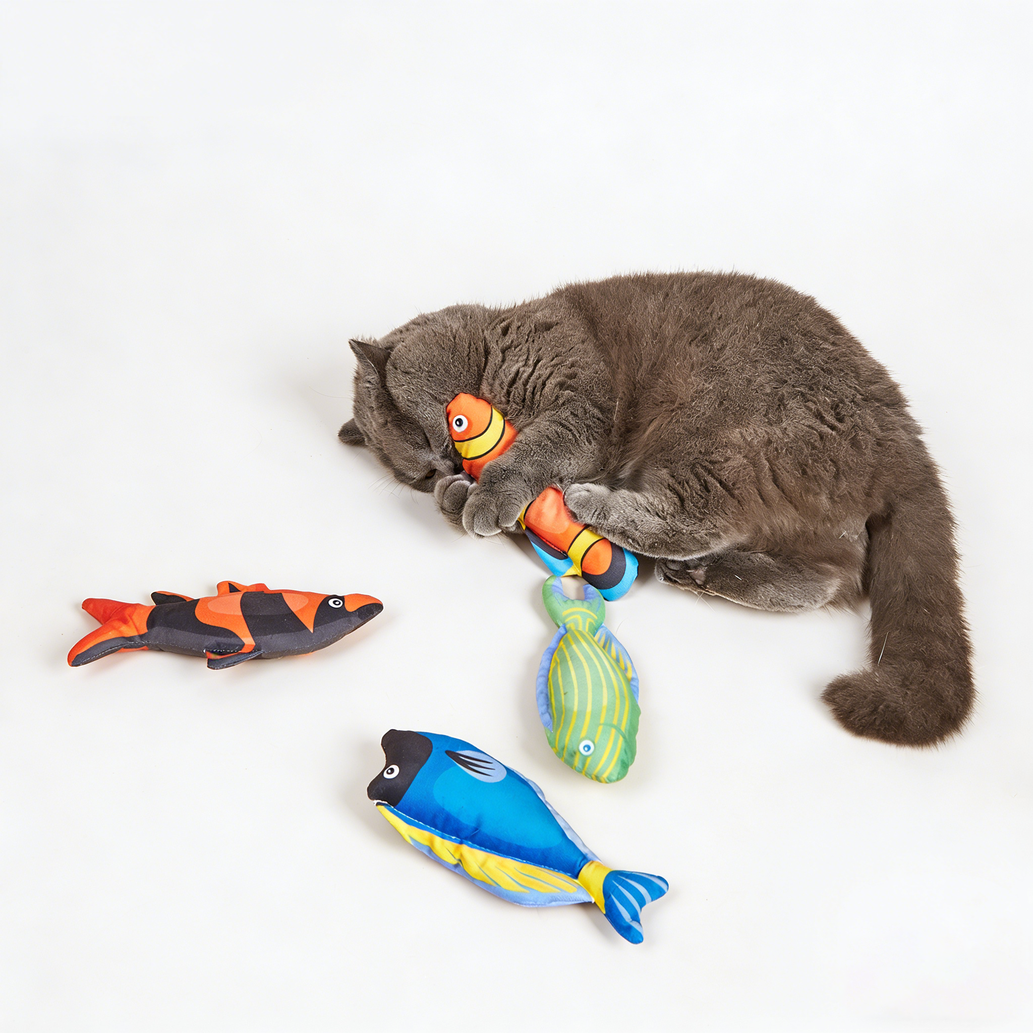 Colorful Plush Fish Cat Toy with Catnip & Squeaker - Interactive Kitten Teething & Play Toy