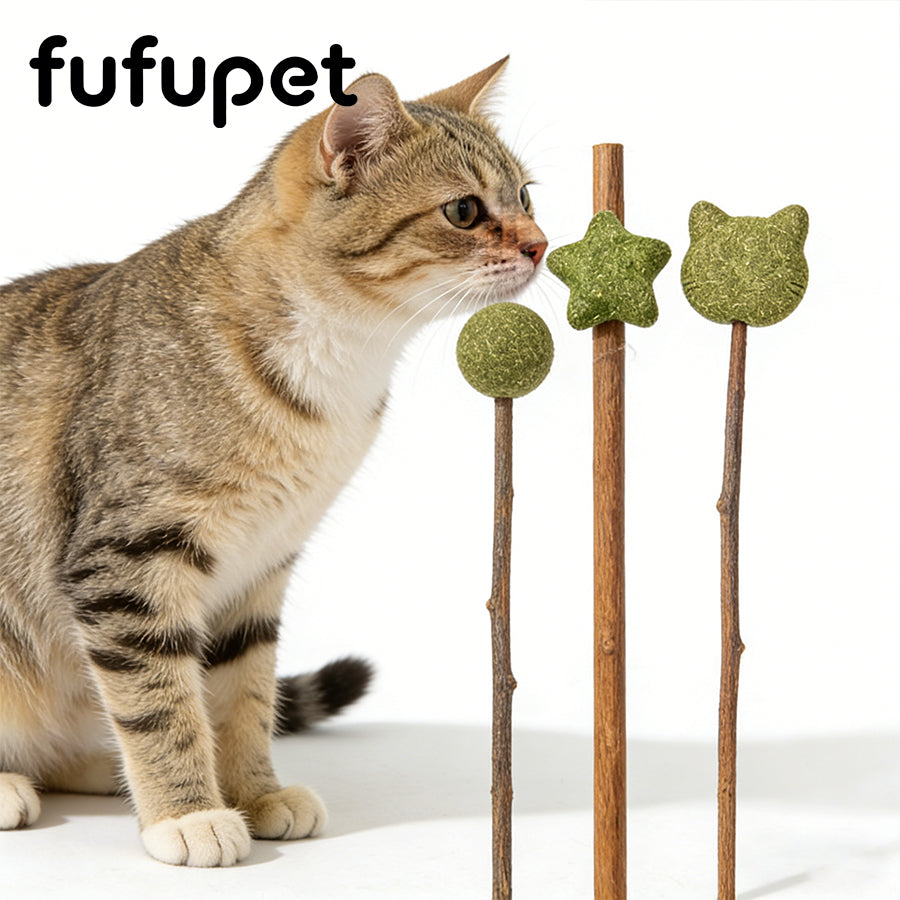 Natural Silvervine Catnip Lollipop for Cats - Interactive Chew Toy & Dental Treat