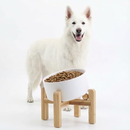 Petygooing Black Elevated/Raised 15°Slanted Ceramic Dog Bowl for Small and Medium Breeds, Tilted Anti Slip Pet Feeding Bowl,Food Water Dish with Stand for Cats and Dogs (28 OZ/3.6 Cups) - 3.6 CUPS - Medium Dog Bowls / White