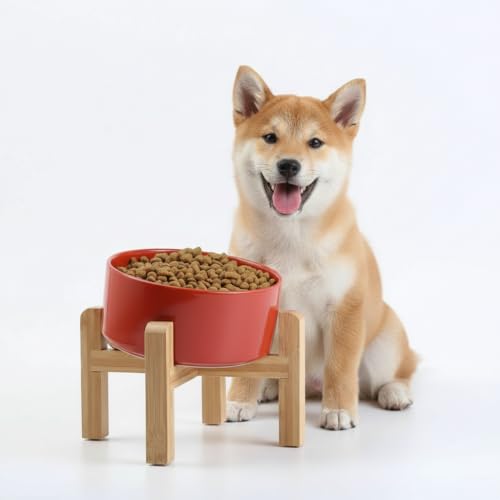 Petygooing Black Elevated/Raised 15°Slanted Ceramic Dog Bowl for Small and Medium Breeds, Tilted Anti Slip Pet Feeding Bowl,Food Water Dish with Stand for Cats and Dogs (28 OZ/3.6 Cups) - 3.6 CUPS - Medium Dog Bowls / Rust Red