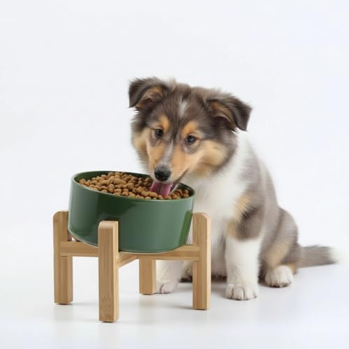 Petygooing Black Elevated/Raised 15°Slanted Ceramic Dog Bowl for Small and Medium Breeds, Tilted Anti Slip Pet Feeding Bowl,Food Water Dish with Stand for Cats and Dogs (28 OZ/3.6 Cups) - 3.6 CUPS - Medium Dog Bowls / Rust Green