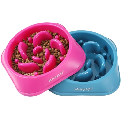 MateeyLife Slow Feeder Dog Bowls 2PCS, Anti-Choking Puzzle Dog Food Bowls, Anti-Slip Interactive Feeding Slow Down Eating, Bloat Stop Maze Dishes for Medium Breeds - C-Purple&DarkBlue / Medium