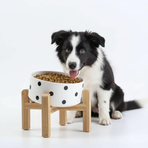 Petygooing Black Elevated/Raised 15°Slanted Ceramic Dog Bowl for Small and Medium Breeds, Tilted Anti Slip Pet Feeding Bowl,Food Water Dish with Stand for Cats and Dogs (28 OZ/3.6 Cups) - 3.6 CUPS - Medium Dog Bowls / Black Dot
