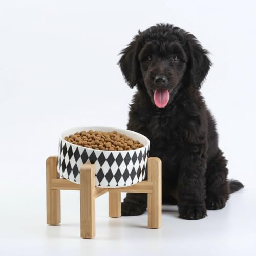 Petygooing Black Elevated/Raised 15°Slanted Ceramic Dog Bowl for Small and Medium Breeds, Tilted Anti Slip Pet Feeding Bowl,Food Water Dish with Stand for Cats and Dogs (28 OZ/3.6 Cups) - 3.6 CUPS - Medium Dog Bowls / Black Rhombus