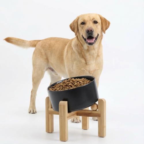 Petygooing Black Elevated/Raised 15°Slanted Ceramic Dog Bowl for Small and Medium Breeds, Tilted Anti Slip Pet Feeding Bowl,Food Water Dish with Stand for Cats and Dogs (28 OZ/3.6 Cups) - 3.6 CUPS - Medium Dog Bowls / Black