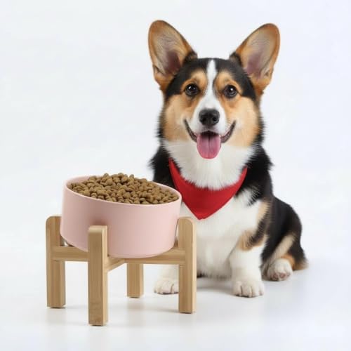Petygooing Black Elevated/Raised 15°Slanted Ceramic Dog Bowl for Small and Medium Breeds, Tilted Anti Slip Pet Feeding Bowl,Food Water Dish with Stand for Cats and Dogs (28 OZ/3.6 Cups) - 3.6 CUPS - Medium Dog Bowls / Khaki