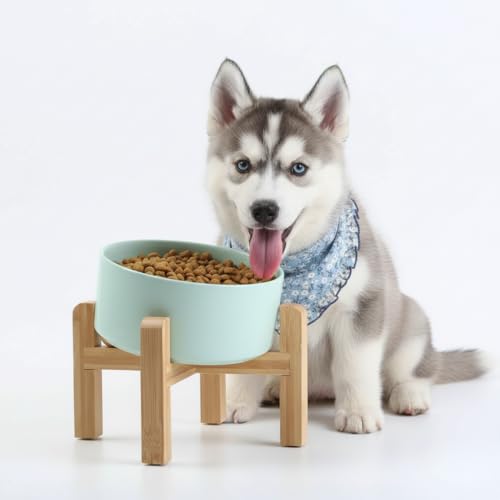 Petygooing Black Elevated/Raised 15°Slanted Ceramic Dog Bowl for Small and Medium Breeds, Tilted Anti Slip Pet Feeding Bowl,Food Water Dish with Stand for Cats and Dogs (28 OZ/3.6 Cups) - 3.6 CUPS - Medium Dog Bowls / Blue Sky