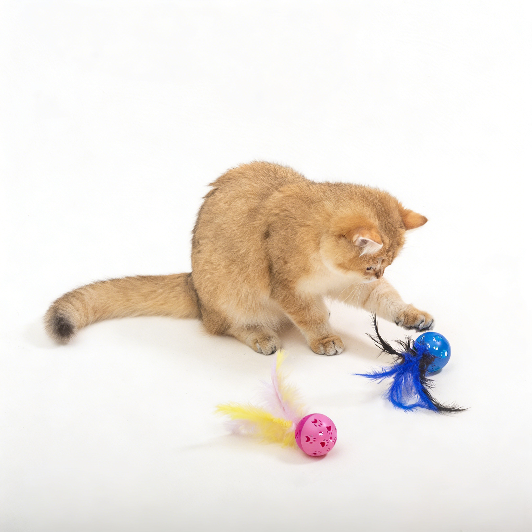 Interactive Feather Bell Ball Cat Toy - Fun Chase & Exercise Toy for Kittens & Adult Cats