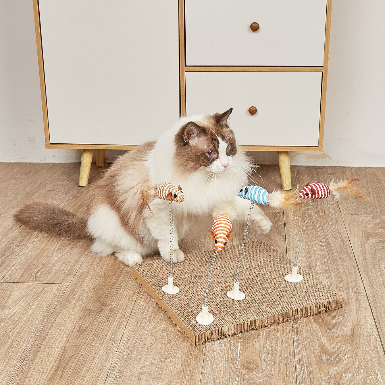 Interactive Spring Cat Teaser Wand with Clip-on Design | Cute Hedgehog/Fish/Butterfly Cat Toy for Scratching Board Play