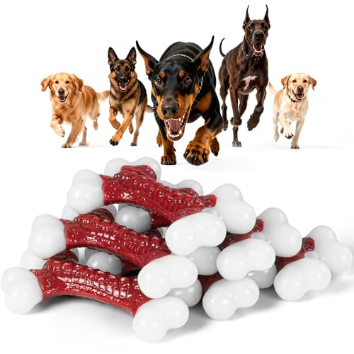 Kseroo Indestructible Dog Toys for Aggressive Chewers: Beef Flavored Hard Nylon Bone Chew Toys, Tough Dog Chew Toys for Large Dogs, Dog Toys to Keep Them Busy for Medium Large Breed (20-80 lbs), Red - 06PC-Beef-Red