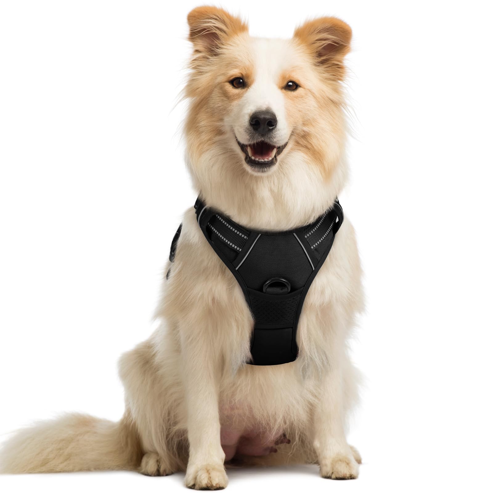 BAAPET 2/4/5/6 FT Dog Leash with Comfortable Padded Handle and Highly Reflective Threads for Small Medium and Large Dogs (5FT-1/2'', Black)