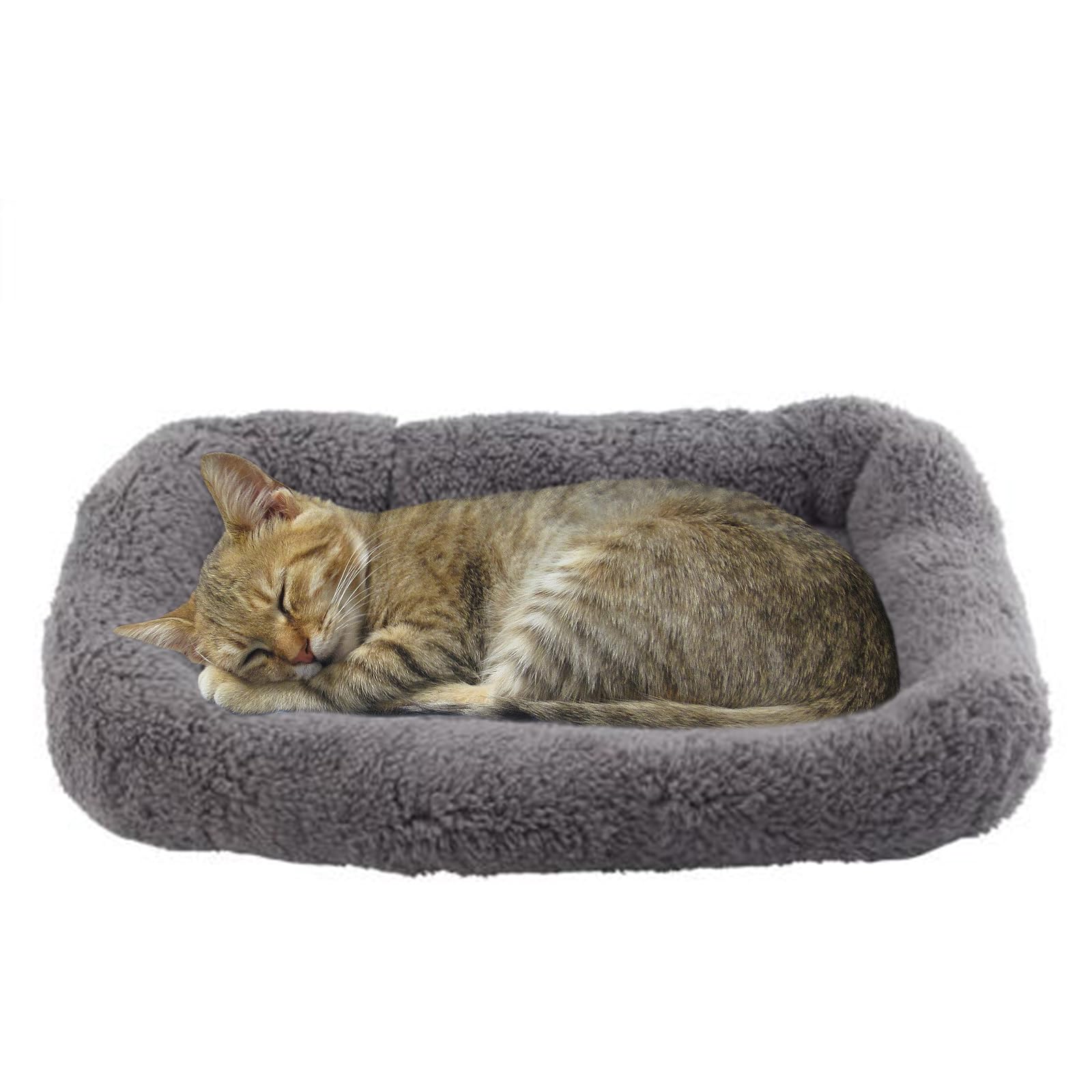 Enjoying Cat Mat Bed 10" x 15" Pet Bed with Pillow Around for Puppy Kitten Curled Sleeping Beds for Carrier/Crate Small Dog Cushion, Anti Skid Bottom, Small