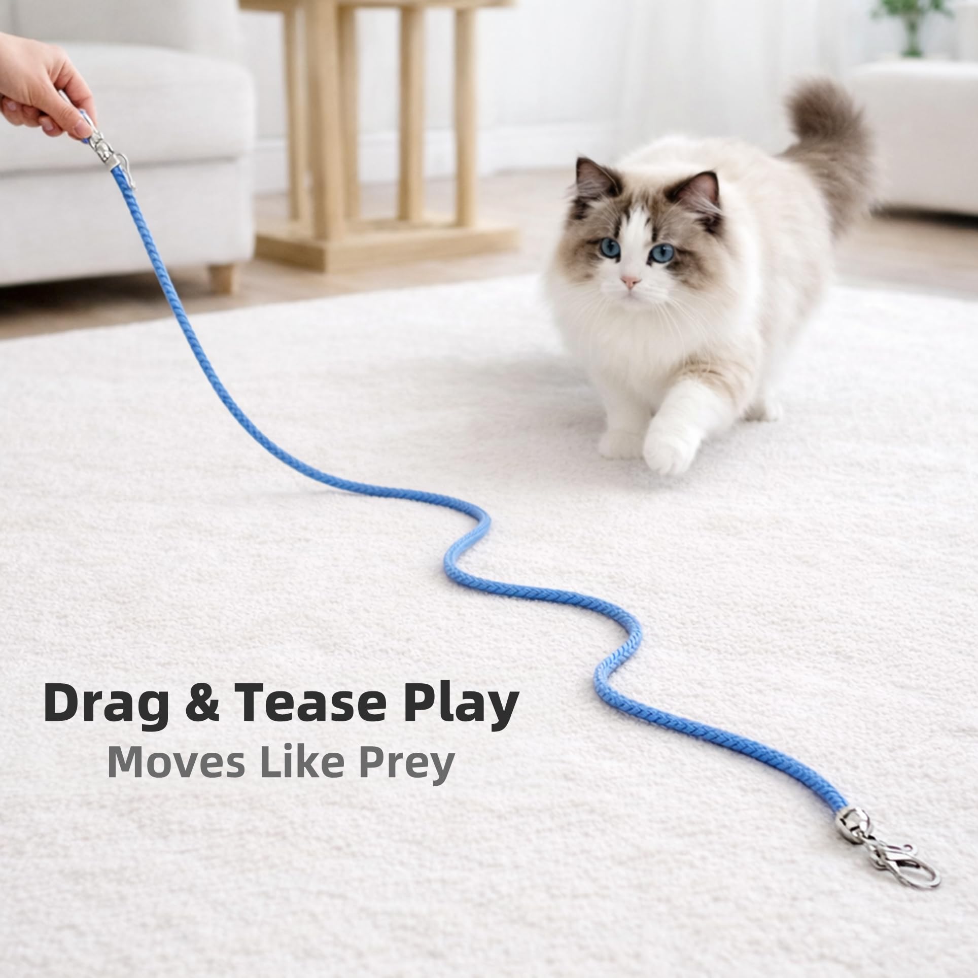 5 Pack Cat Wand Replacement Strings – Interactive Cotton Rope Cat Toy with Clips & Bell for Indoor Cats