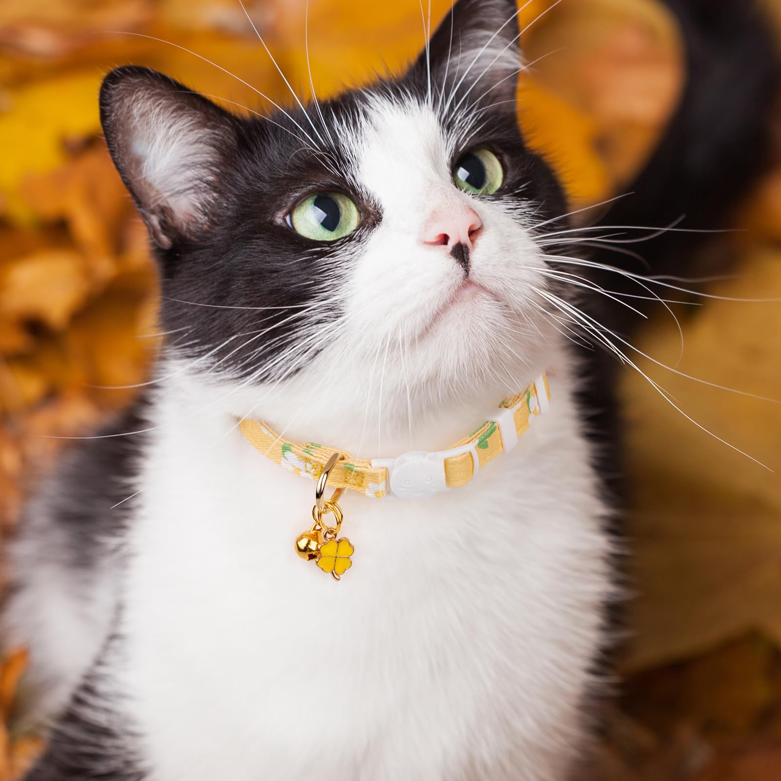 2 Pack Cotton Breakaway Cat Collar Green and Yellow Flowers Pendant Cute Kitten Cat Collar with Bell