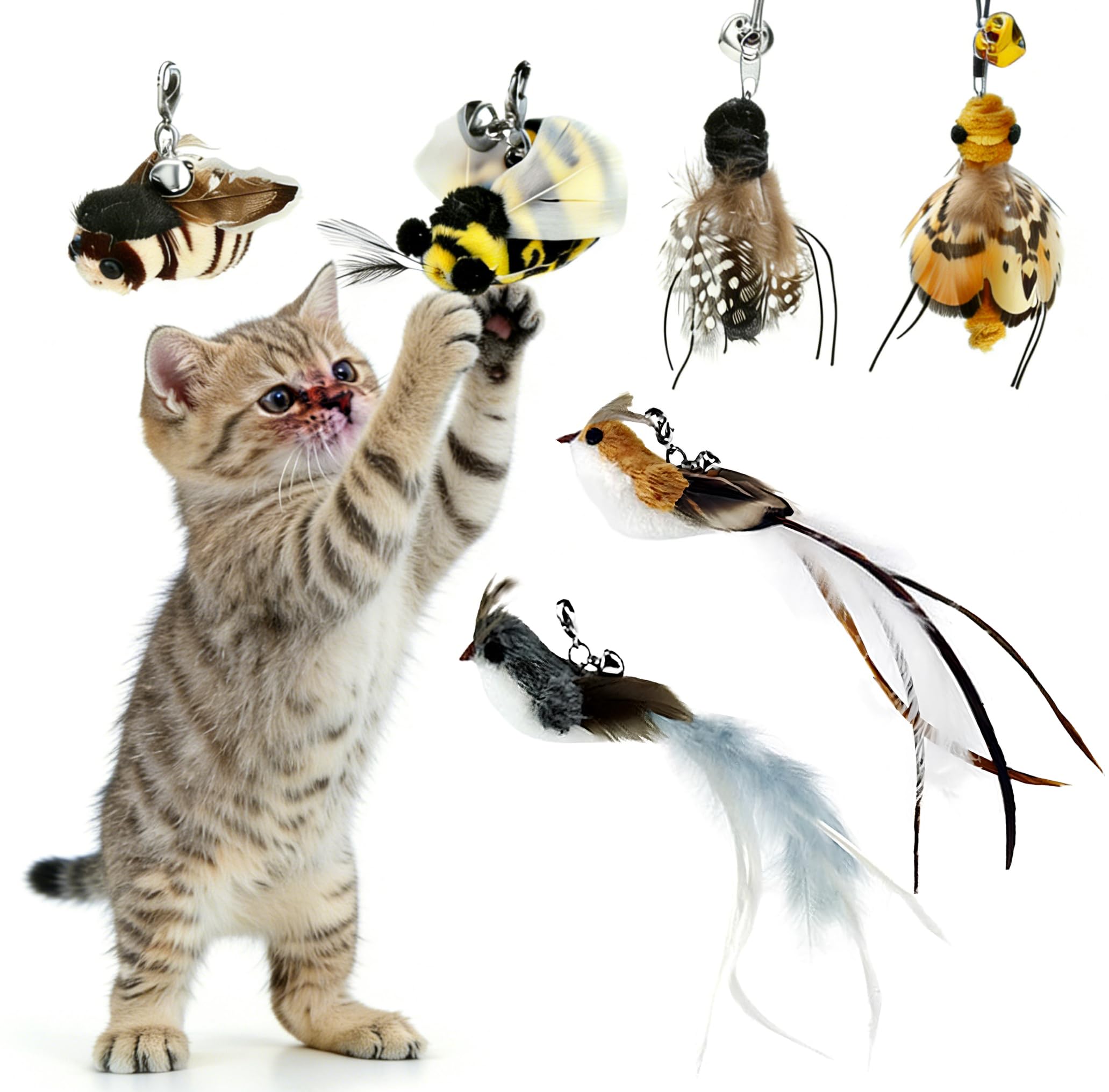 The Natural Pet Company Cat Toys Feather Refill 6 Pack - Add Life to Your Cat's Favorite Toy with This Interchangeable Feather Refill Multipack (As Photographed).