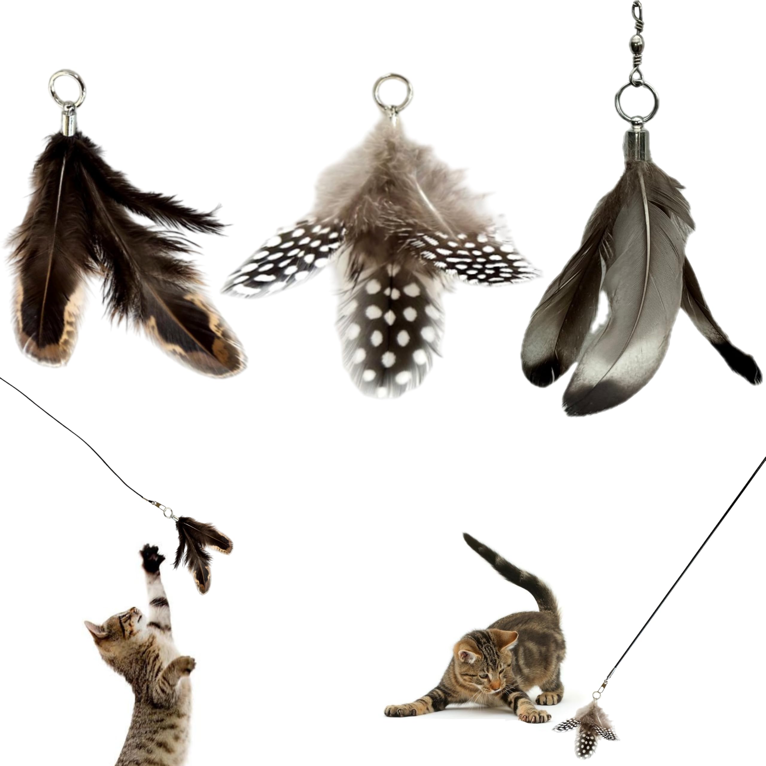 Cat Insect Feather Toys Replacement Cat Toy Wand Refills, 6 Pieces Natural Insect Cat Toy Feathers Refill, Interactive Cat Teaser Wand Attachments, with Bell