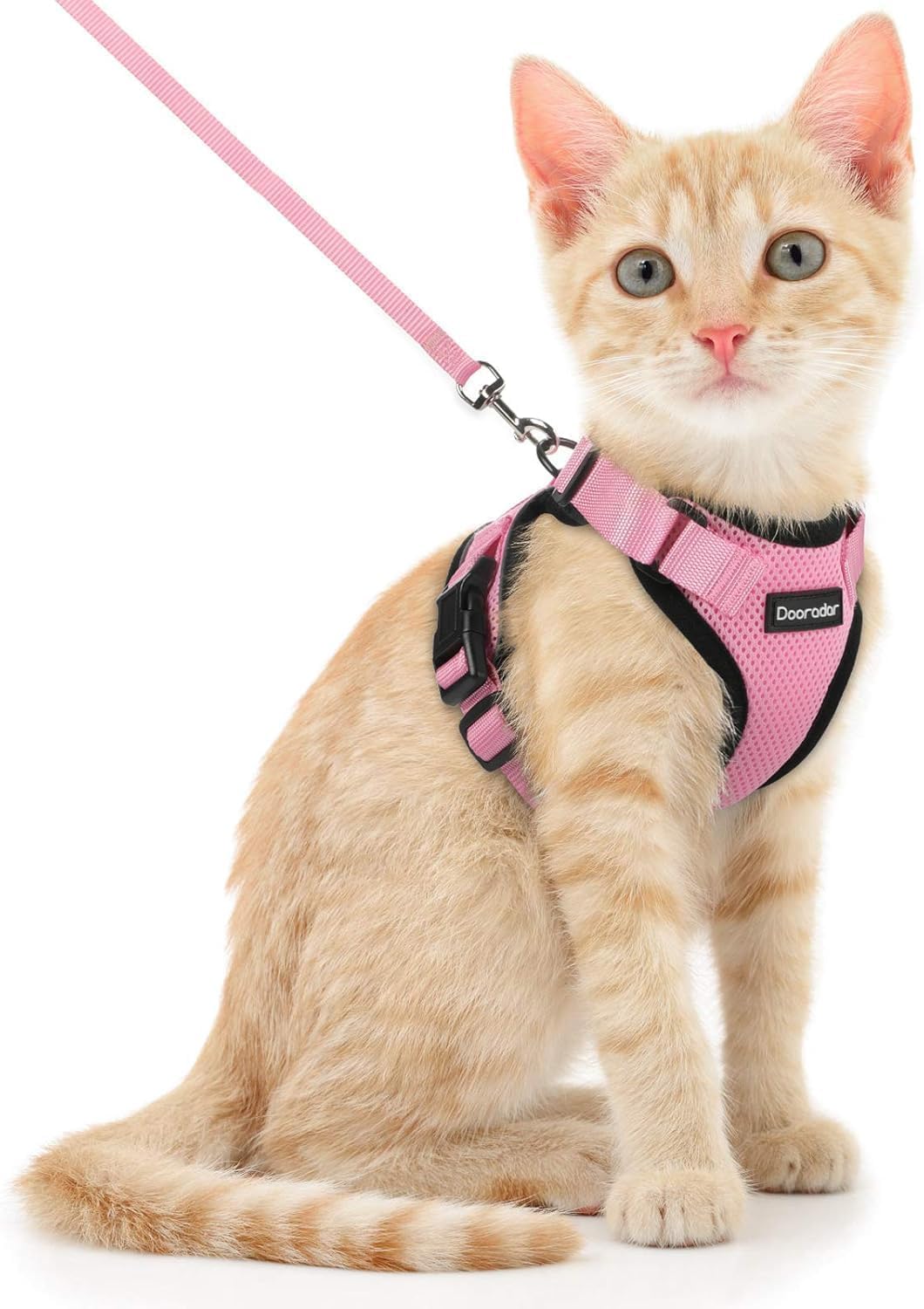 rabbitgoo Cat Harness and Leash for Walking, Escape Proof Soft Adjustable Vest Harnesses for Cats, Easy Control Breathable Reflective Strips Jacket, Black, XS