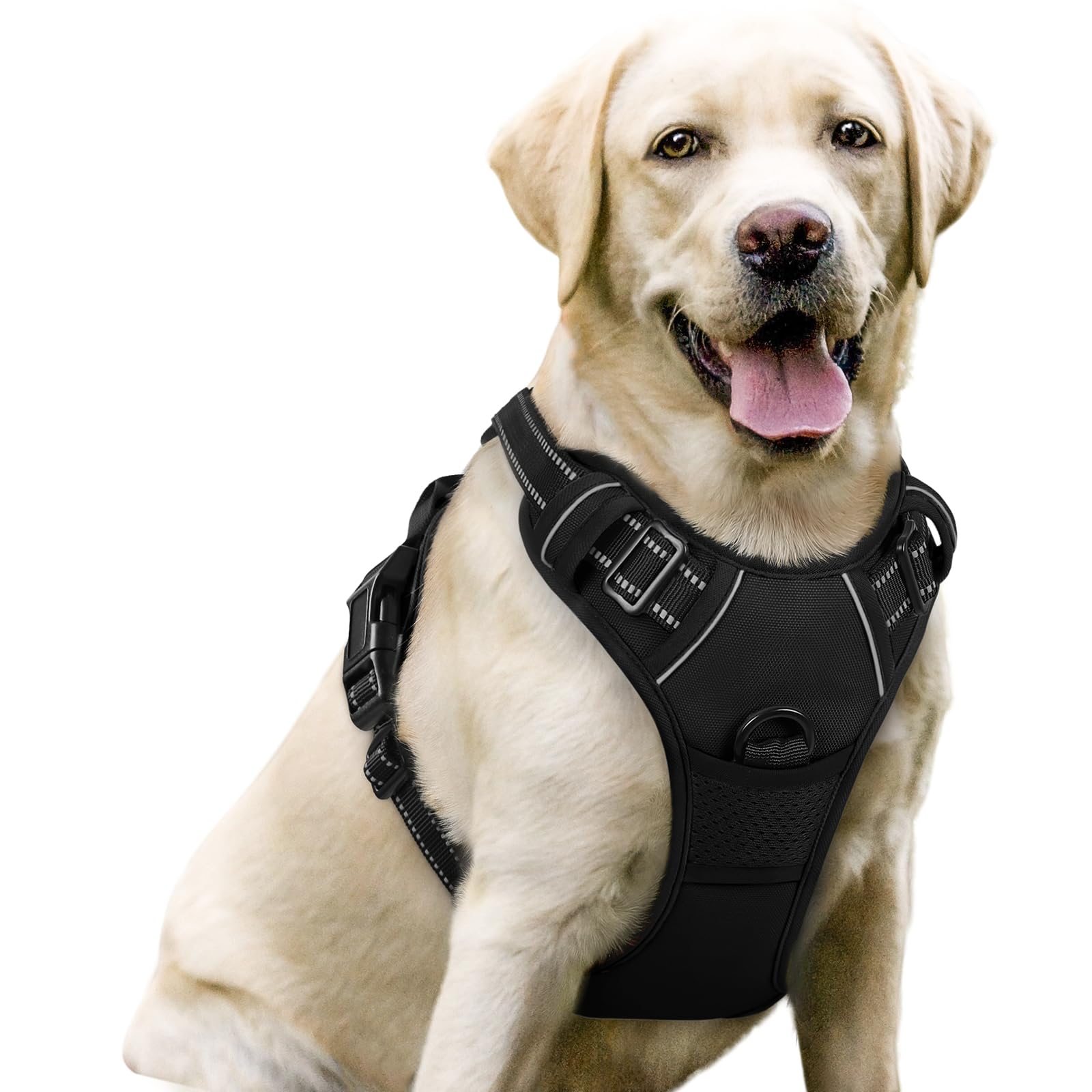 BAAPET 2/4/5/6 FT Dog Leash with Comfortable Padded Handle and Highly Reflective Threads for Small Medium and Large Dogs (5FT-1/2'', Black)