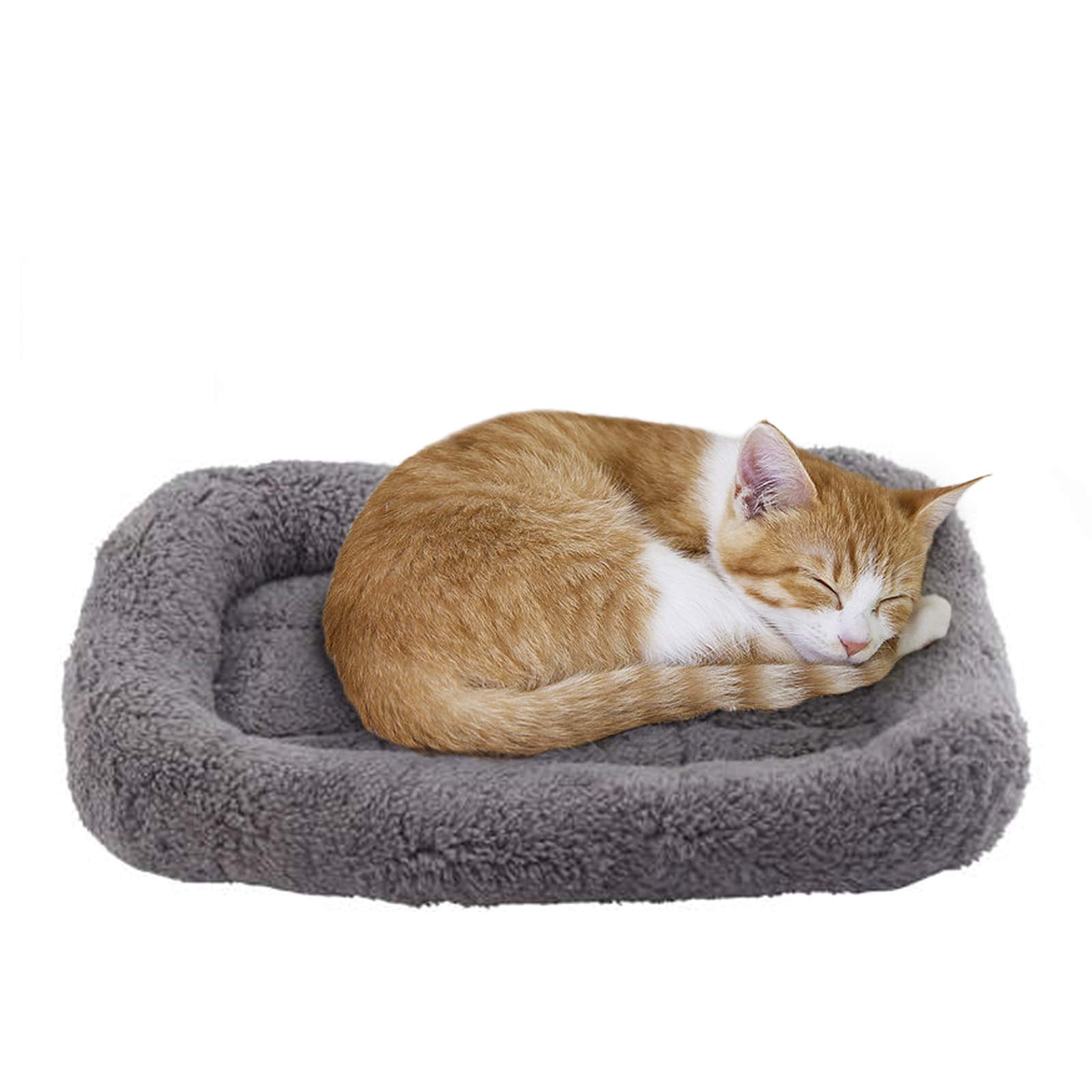 Enjoying Cat Mat Bed 10" x 15" Pet Bed with Pillow Around for Puppy Kitten Curled Sleeping Beds for Carrier/Crate Small Dog Cushion, Anti Skid Bottom, Small