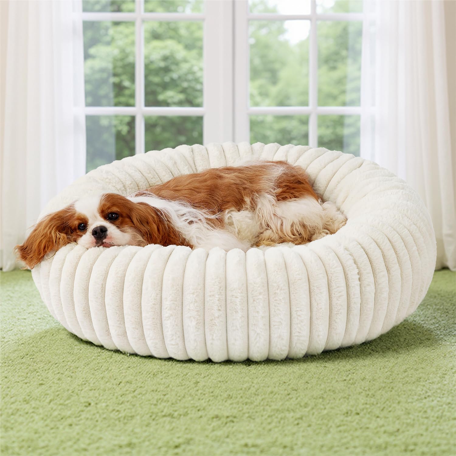 BALANCE Luxury Donut Dog Bed, 30 Inches Round Dog Bed Medium Size Dogs Washable, Orthopedic Calming Dogs Bed for Pets with Anti-Slip Bottom, Oatmeal