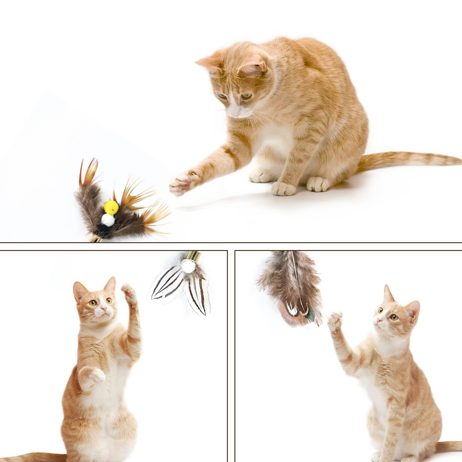 Cat Insect Feather Toys Replacement Cat Toy Wand Refills, 6 Pieces Natural Insect Cat Toy Feathers Refill, Interactive Cat Teaser Wand Attachments, with Bell