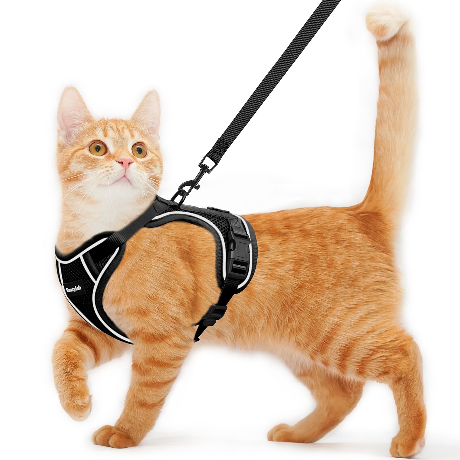 rabbitgoo Cat Harness and Leash for Walking, Escape Proof Soft Adjustable Vest Harnesses for Cats, Easy Control Breathable Reflective Strips Jacket, Black, XS