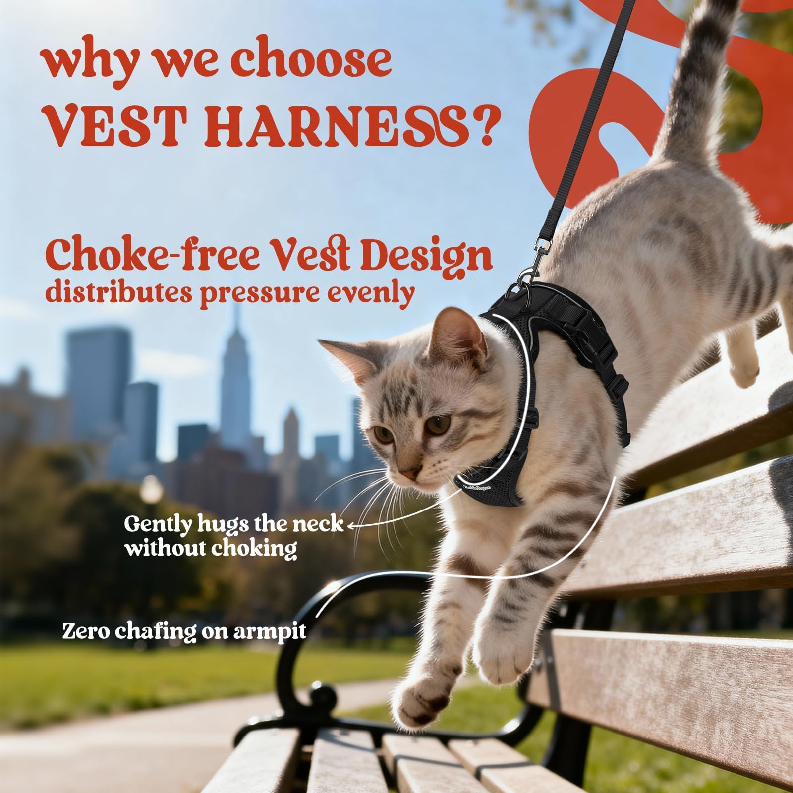rabbitgoo Cat Harness and Leash for Walking, Escape Proof Soft Adjustable Vest Harnesses for Cats, Easy Control Breathable Reflective Strips Jacket, Black, XS