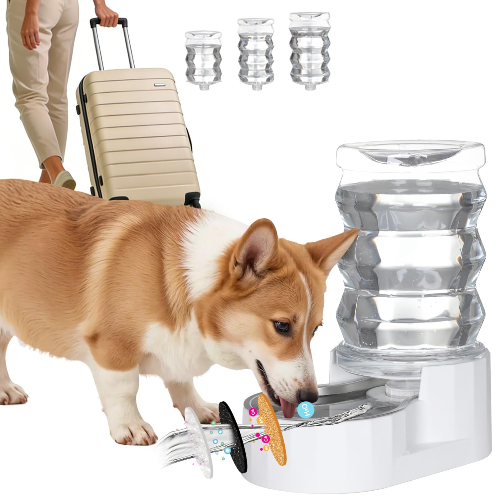 RIZZARI Automatic Gravity Pet Dispenser: Helps Prevent Urinary Stones - Activated Carbon Ion Exchange System - 6.5L Large Capacity Stainless Steel-Ideal for Cats & Small Dogs-All-Day Hydration at Home