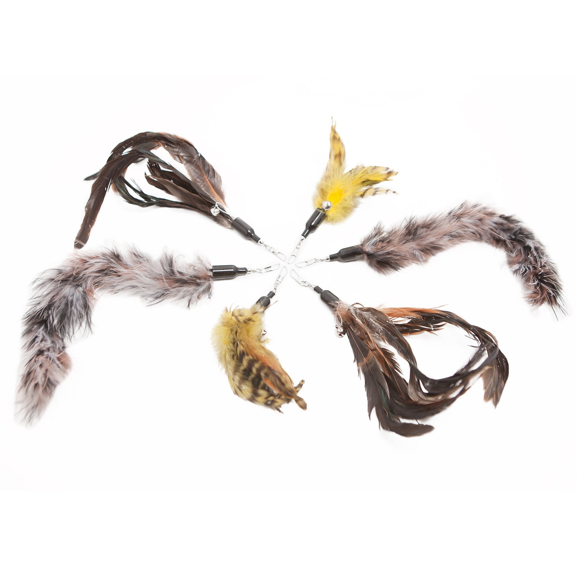 The Natural Pet Company Cat Toys Feather Refill 6 Pack - Add Life to Your Cat's Favorite Toy with This Interchangeable Feather Refill Multipack (As Photographed).