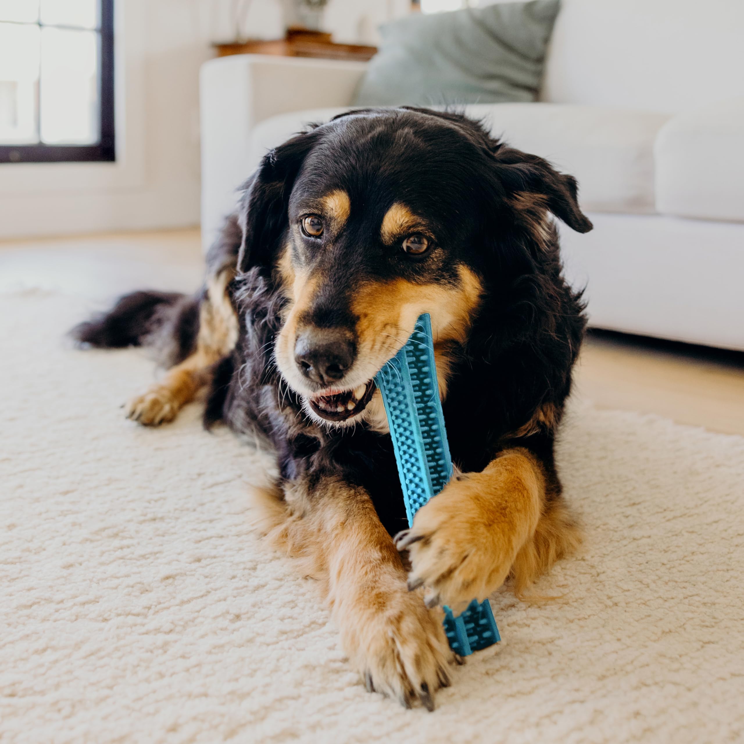Playology Dog Toys | Dental Chew Stick Gentle on Gums | Medium Peanut Butter Scented Toy - Easy to Clean and Made from Non Toxic Materials