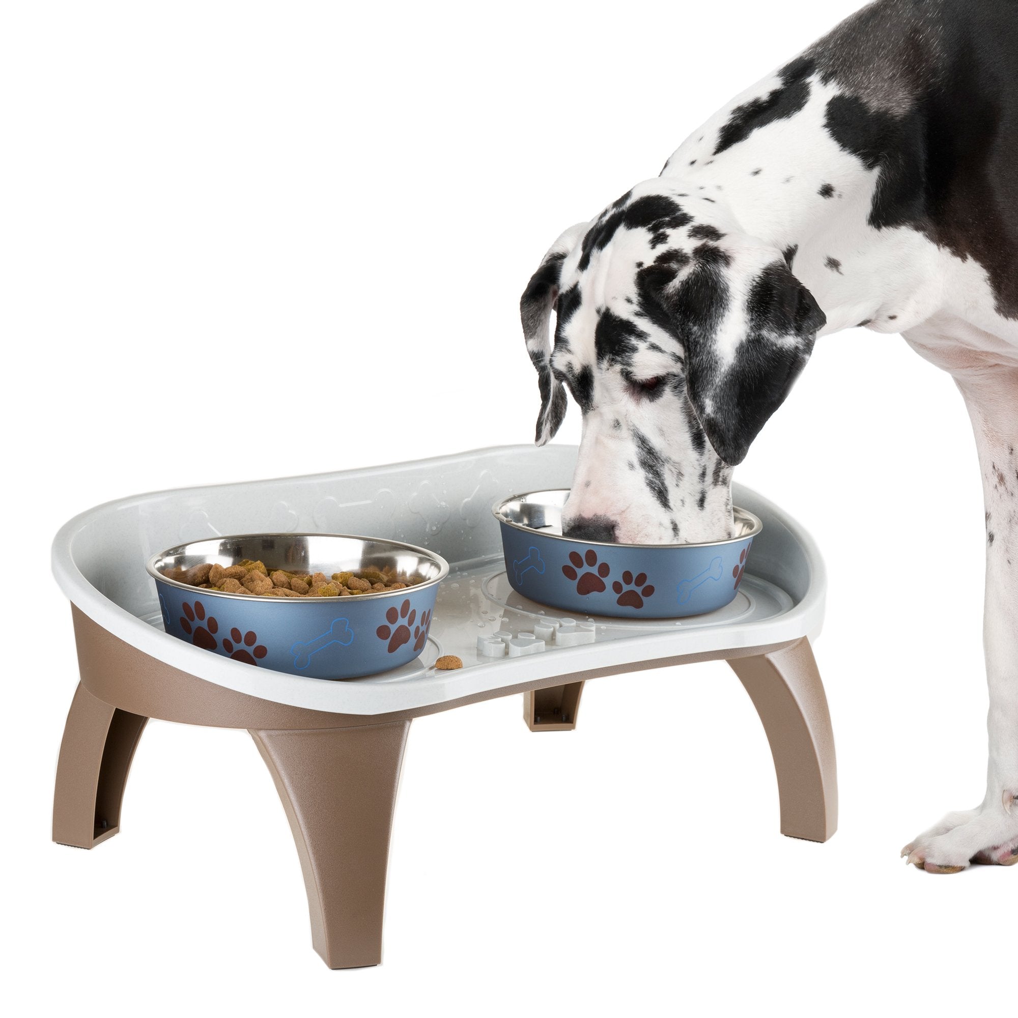 Elevated Ceramic Dog Bowl Set - Double Dog Feeding Bowls with Stand Splash Proof - Raised Dishes for Food and Water - Ideal for Small to Medium Dogs - 2 x 850 ml - 28.74 oz